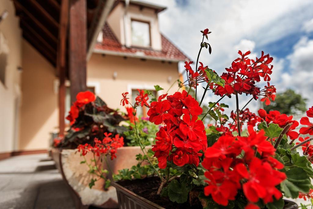 ホテルVera Sulechów エクステリア 写真